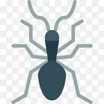 昆虫剪贴画-昆虫-空若网 昆虫剪贴画-昆虫-空若网