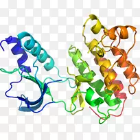 人体首饰有机体线剪贴画线-空若网 人体首饰有机体线剪贴画线-空若网