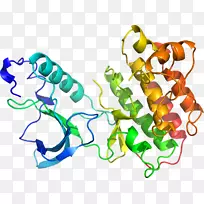 人体首饰有机体线剪贴画线-空若网 人体首饰有机体线剪贴画线-空若网