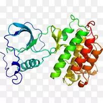 �����鱦�߲��л���ϵ�м�����-�߲�-������