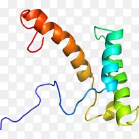 人体首饰有机体线剪贴画线-空若网 人体首饰有机体线剪贴画线-空若网