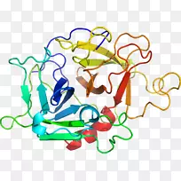 ������ƽ����Ƶ��������-������