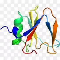 ƽ����Ƽ�����.���-������