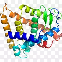 人体珠宝剪贴画-空若网 人体珠宝剪贴画-空若网
