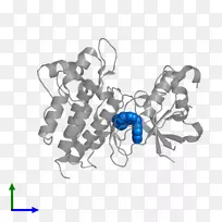 昆虫蝴蝶传粉器-昆虫-空若网 昆虫蝴蝶传粉器-昆虫-空若网