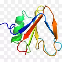 ����ƽ����Ƶ��������-������