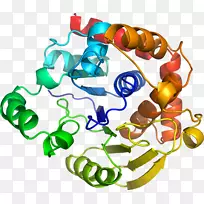 人体首饰有机体线剪贴画线-空若网 人体首饰有机体线剪贴画线-空若网