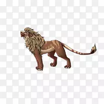 ����è�ƶ���Ұ������-�ٰ���һ��׳�۵ı��ݡ�-������