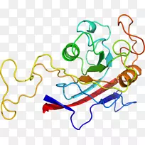 �ߵ�������������-������