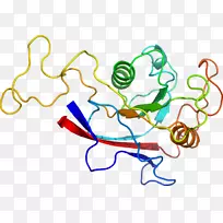 线点生物剪贴画线-空若网 线点生物剪贴画线-空若网