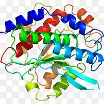 �����߶����������-������