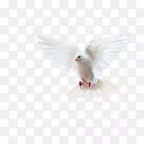 ��ë�����-������