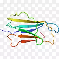 �ߵ������-��-������