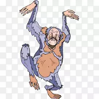 ���˺�����Գ����˽����-�����ʼ�-������