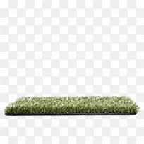 草坪草科-空若网 草坪草科-空若网