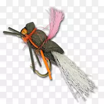 昆虫-空若网 昆虫-空若网