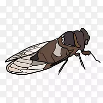 ���������������ͨ����������-������