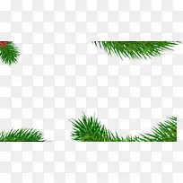 ÂÌÉ«º£±¨-Â̲ݱ³¾°-¿ÕÈôÍø ÂÌÉ«º£±¨-Â̲ݱ³¾°-¿ÕÈôÍø