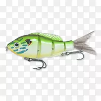 南瓜籽蓝鳃鲈鱼昆虫-空若网 南瓜籽蓝鳃鲈鱼昆虫-空若网