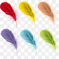 羽毛水彩画卡通美丽的彩色羽毛-空若网 羽毛水彩画卡通美丽的彩色羽毛-空若网