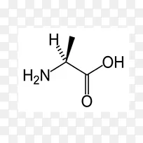 亮氨酸、蛋白质性氨基酸、缬草素、必需氨基酸-空若网 亮氨酸、蛋白质性氨基酸、缬草素、必需氨基酸-空若网