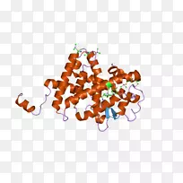 桌面壁纸食品电脑剪贴画电脑-空若网 桌面壁纸食品电脑剪贴画电脑-空若网