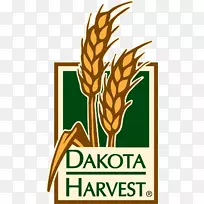 ��������ջ����ʦ�ձ�ݼ�����-������