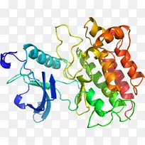 人体首饰有机体线剪贴画线-空若网 人体首饰有机体线剪贴画线-空若网
