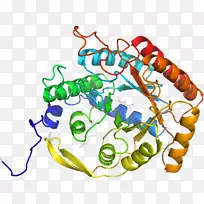 线点生物剪贴画线-空若网 线点生物剪贴画线-空若网