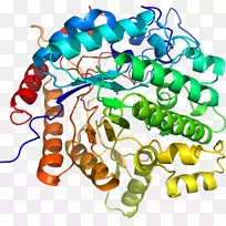 人体首饰有机体线剪贴画线-空若网 人体首饰有机体线剪贴画线-空若网