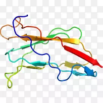 �ߵ������������-������