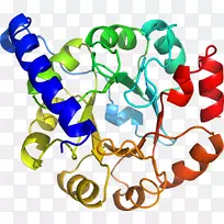 人体首饰有机体线剪贴画线-空若网 人体首饰有机体线剪贴画线-空若网