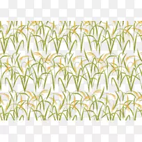 叶草黄茎型秋收稻田-空若网 叶草黄茎型秋收稻田-空若网