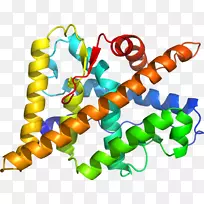 人体珠宝线有机体剪贴画线-空若网 人体珠宝线有机体剪贴画线-空若网
