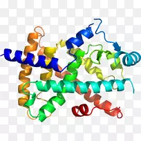 �ߵ������������-������