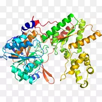 人体首饰有机体线剪贴画线-空若网 人体首饰有机体线剪贴画线-空若网