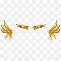 ��ɫ���-������