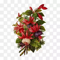 花束画-空若网 花束画-空若网