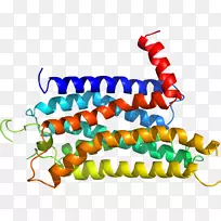 人体首饰有机体线剪贴画线-空若网 人体首饰有机体线剪贴画线-空若网
