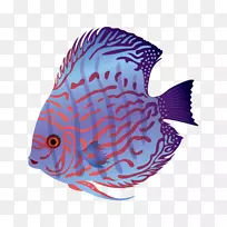 *-空若网 *-空若网