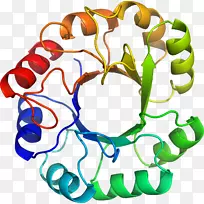 人体首饰有机体线剪贴画线-空若网 人体首饰有机体线剪贴画线-空若网