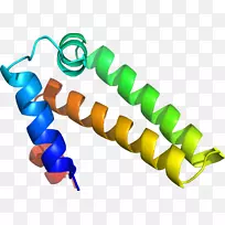 人体珠宝线剪贴画线-空若网 人体珠宝线剪贴画线-空若网