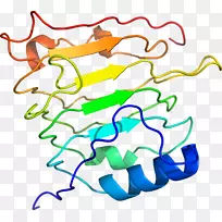 线点生物剪贴画线-空若网 线点生物剪贴画线-空若网