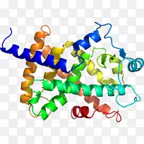 人体首饰有机体线剪贴画线-空若网 人体首饰有机体线剪贴画线-空若网