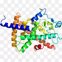 人体首饰有机体线剪贴画线-空若网 人体首饰有机体线剪贴画线-空若网