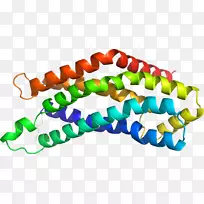 珠子手链体珠宝剪贴画珠宝首饰-空若网 珠子手链体珠宝剪贴画珠宝首饰-空若网