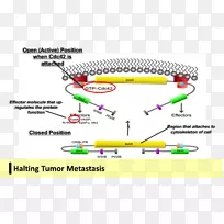 线点图-线-空若网 线点图-线-空若网