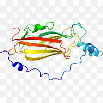 �ߵ������������-������