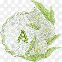 开花植物材料-愈伤组织花-空若网 开花植物材料-愈伤组织花-空若网