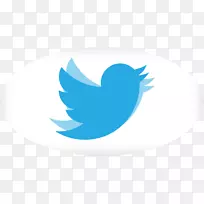 阿凡达社交媒体你的鸟安卓-阿凡达-空若网 阿凡达社交媒体你的鸟安卓-阿凡达-空若网